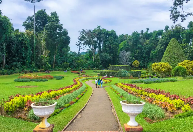 Royal Gardens & Ramboda Falls